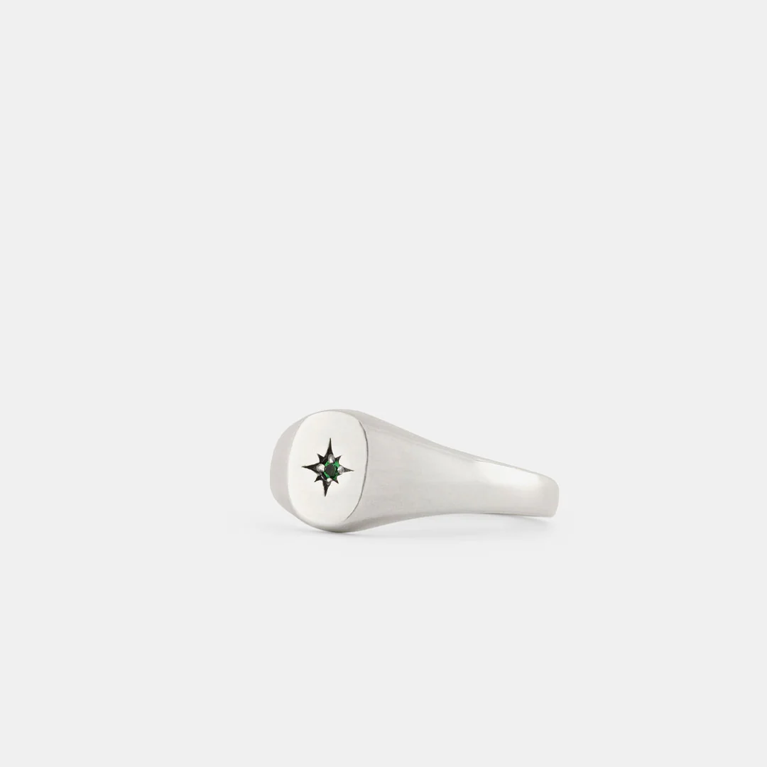 Silver Envy Signet Ring back