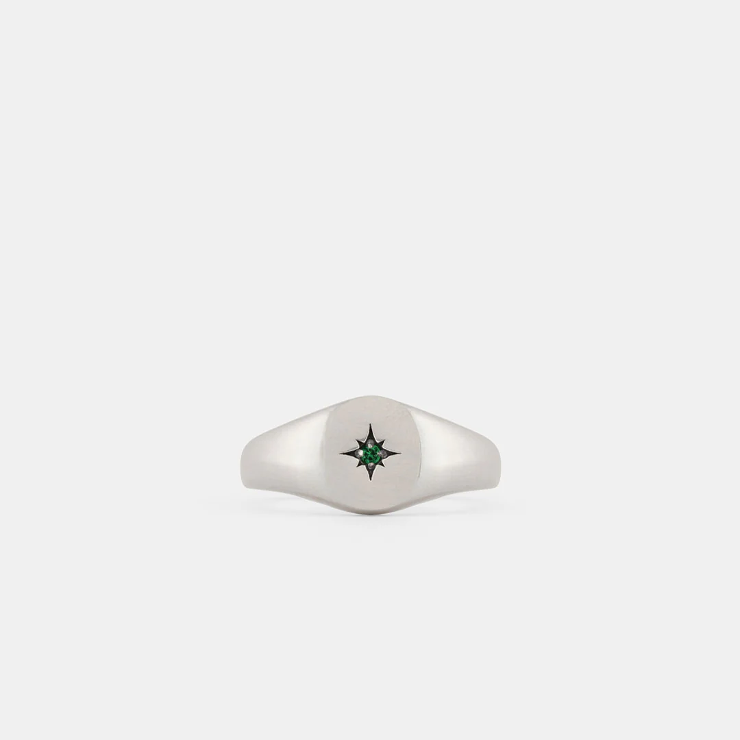 Silver Envy Signet Ring front